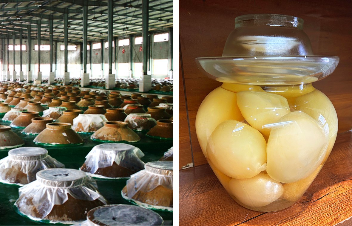 maoge old duck soup 5 maoge old duck soup 5